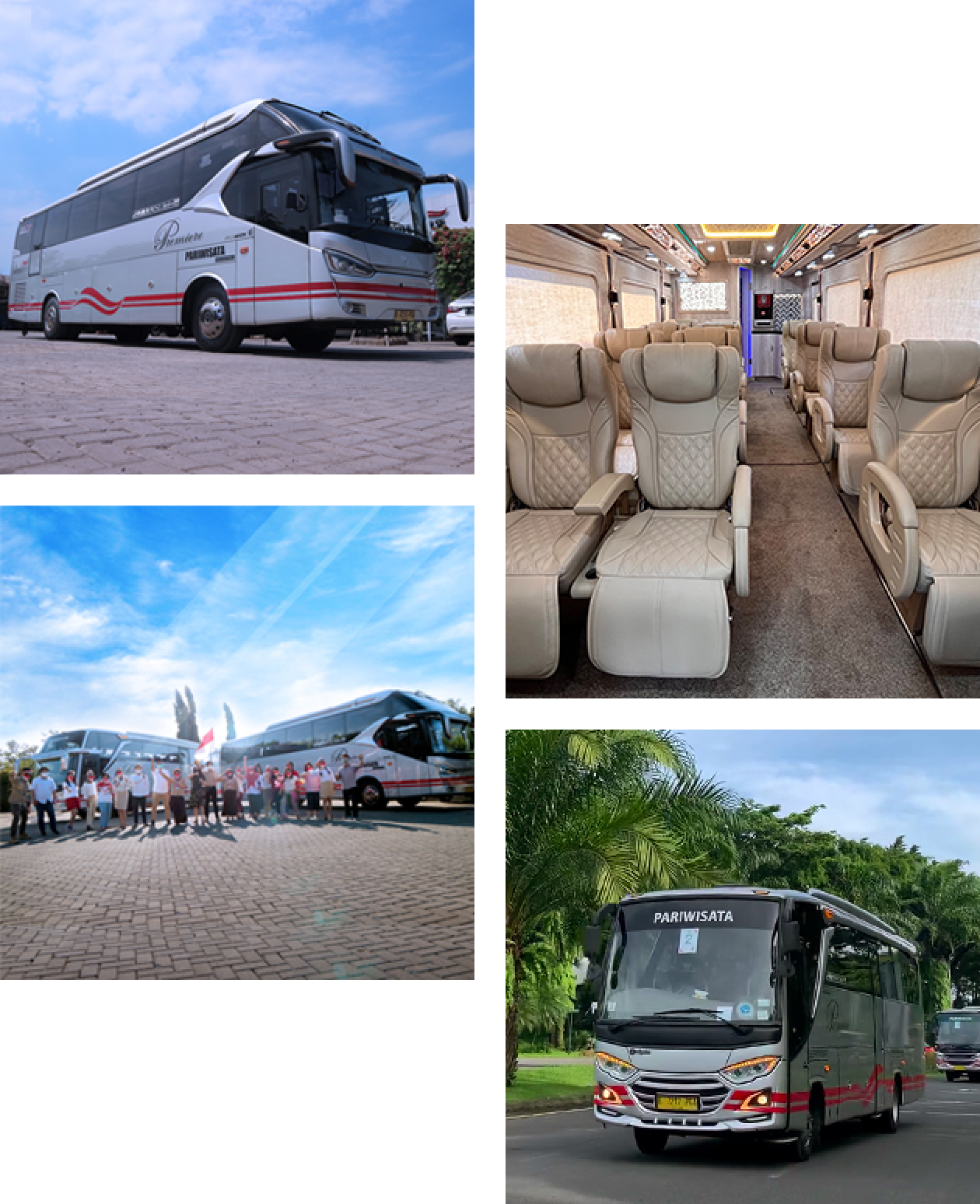 White Horse Group | Bus Charter Company transportation services